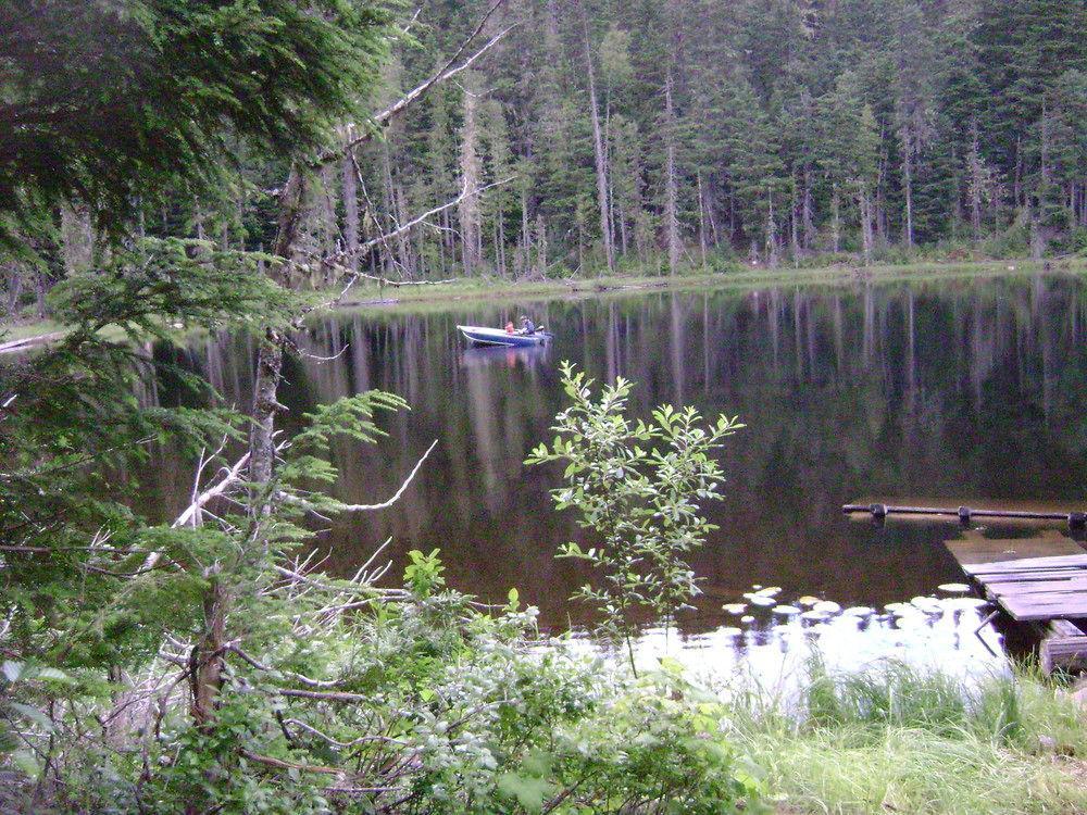 Blue River Cabins & Campgrounds Buitenkant foto
